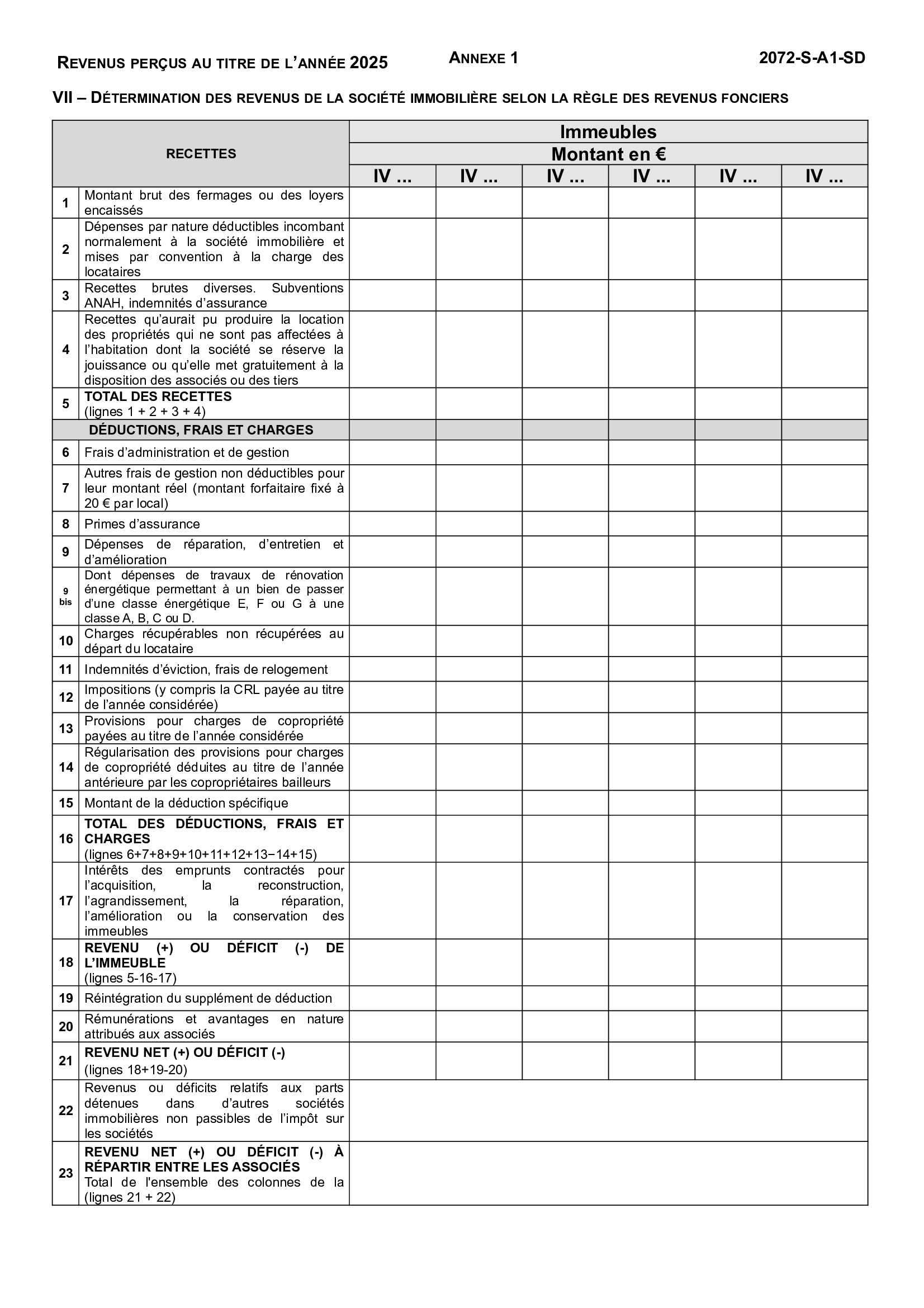 Formulaire 2072-S Annexe A1 — Cadre VII : détermination des revenus fonciers